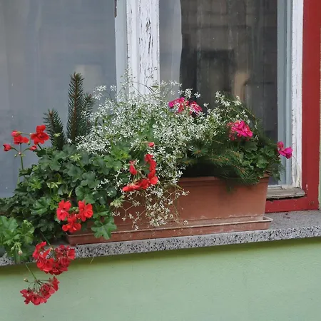 Apartma By The River Ljubljana